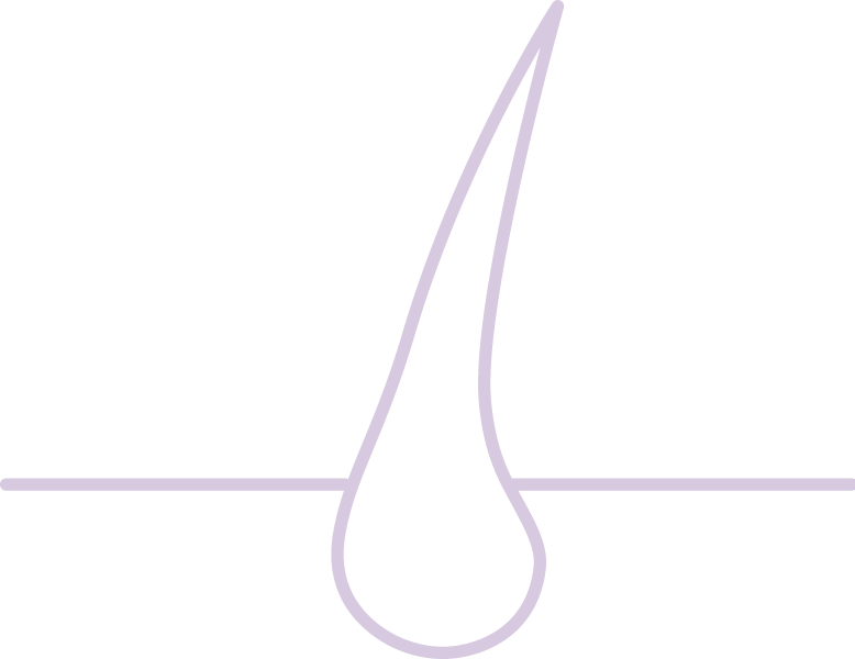 Calibra UHIP pro www - skin - 3-22